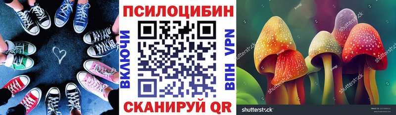 Купить где  Киреевск  Псилоцибиновые грибы GOLDEN TEACHER 